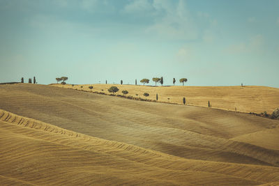 Scenic view of people on field against sky