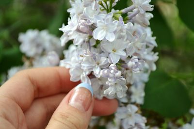 Close-up of hand holding flowers