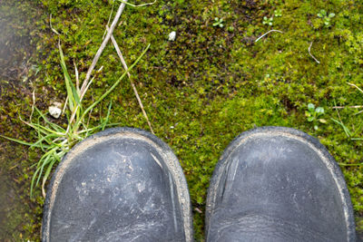 Low section of man standing on grass