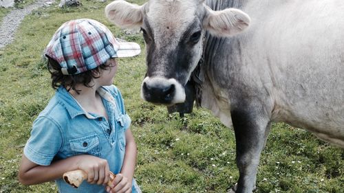 Boy looking at cow standing on field