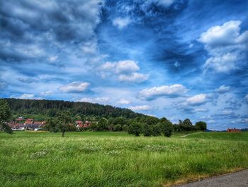 Scenic view of field against sky