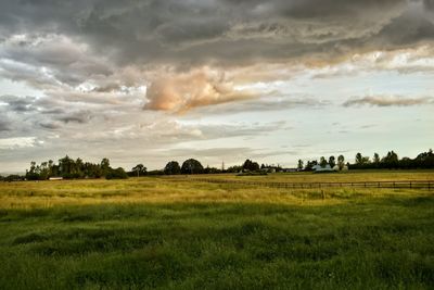 Scenic view of grassy field against cloudy sky