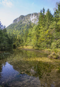 Scenic view of lake by trees against sky