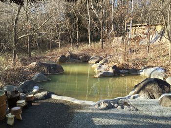 Stream flowing through rocks