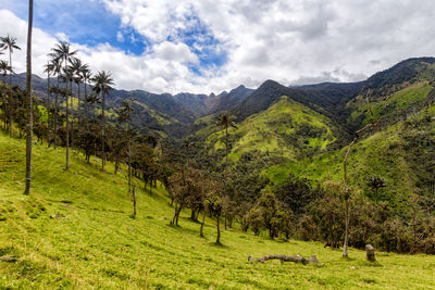 Scenic view of green landscape and mountains against sky