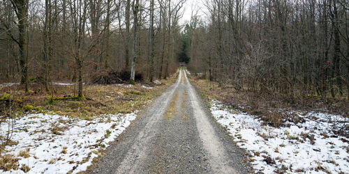 Road amidst trees in forest during winter