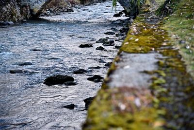 Stream flowing through rocks