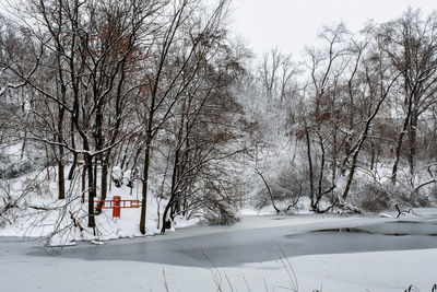 Bare trees on snow covered field against sky