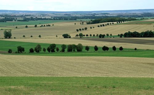 Scenic view of farm against sky