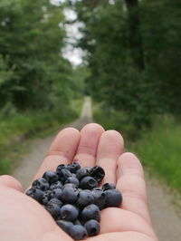 Cropped image of hand holding pebbles