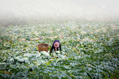 Farmer working on field during foggy weather