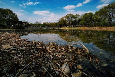 Scenic view of lake against sky