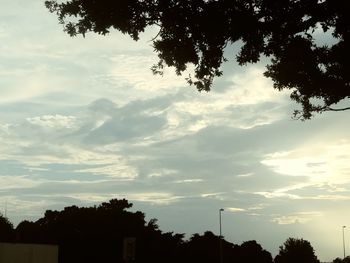 Low angle view of silhouette trees against sky