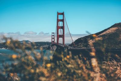 View of suspension bridge against blue sky