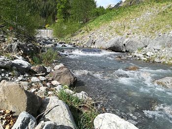 Scenic view of river stream in forest