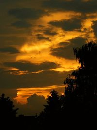 Silhouette of trees at sunset