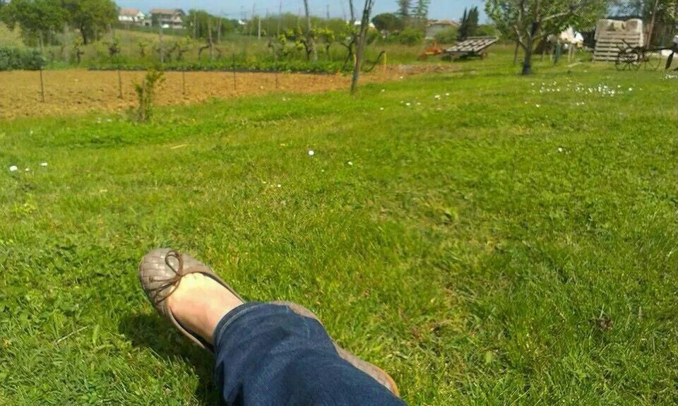 grass, grassy, field, low section, green color, personal perspective, person, landscape, lifestyles, leisure activity, men, unrecognizable person, shoe, grassland, lawn, growth, standing