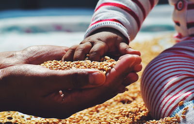 Cropped image of person with baby holding wheat