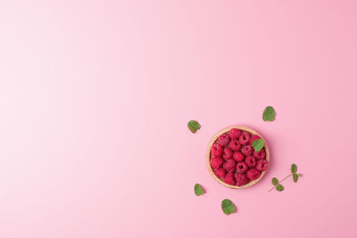 Directly above shot of food on pink background