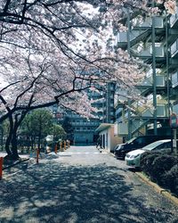 Street amidst trees and buildings in city