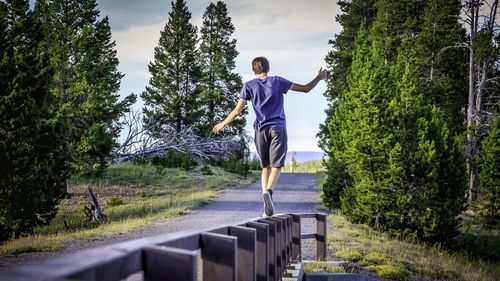 Rear view of man on road amidst trees against sky