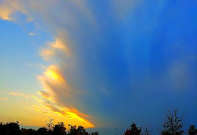 Low angle view of silhouette trees against blue sky