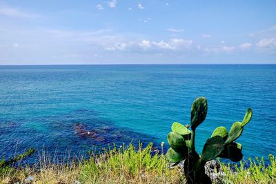 Scenic view of sea against sky. blue and green