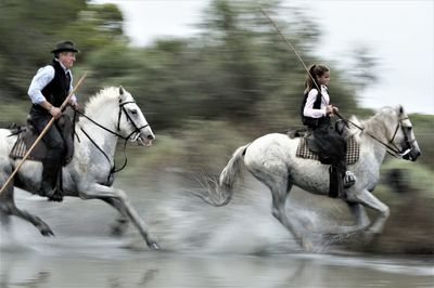 People riding horse in water