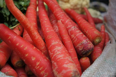 Close-up of carrots in sack