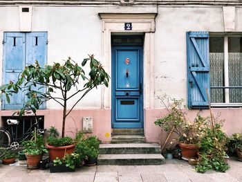 Potted plants outside building