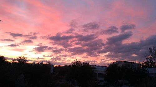 Silhouette trees and buildings against sky during sunset