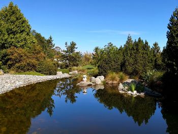 Reflection of trees in lake against clear blue sky in a japanese garden