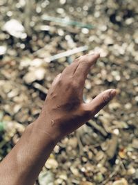 Close-up of human hand outdoors