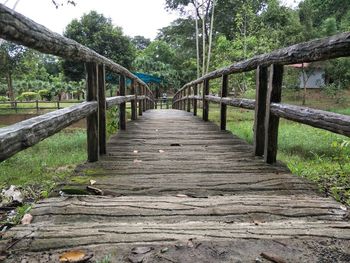 Footbridge amidst trees in forest