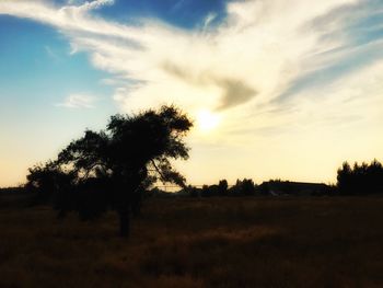 Silhouette trees on landscape against sky