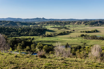 Scenic view of landscape against clear sky