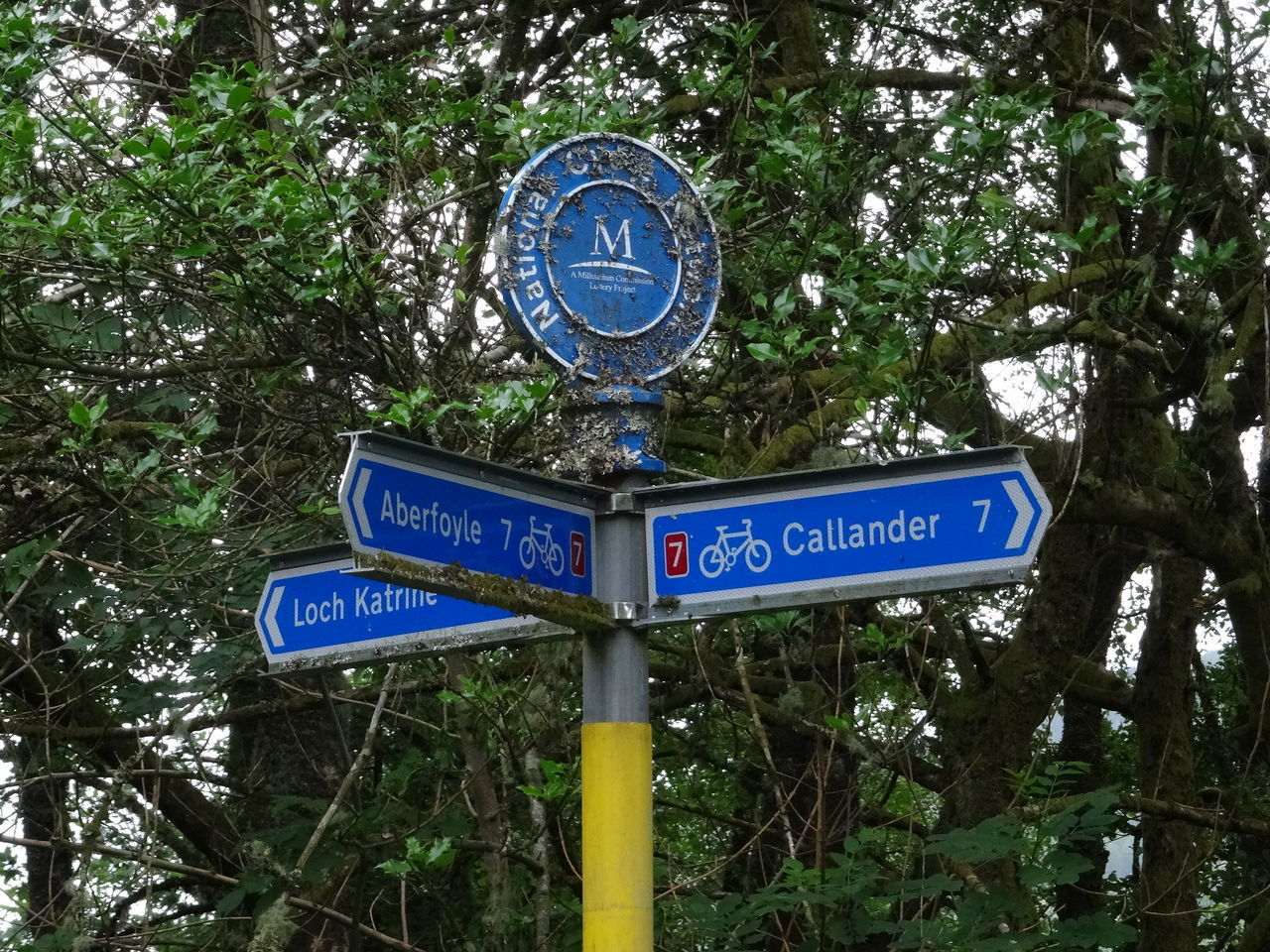 LOW ANGLE VIEW OF INFORMATION SIGN AGAINST TREES