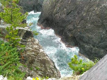 High angle view of rocks and trees