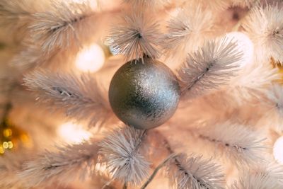 Close-up of christmas decorations