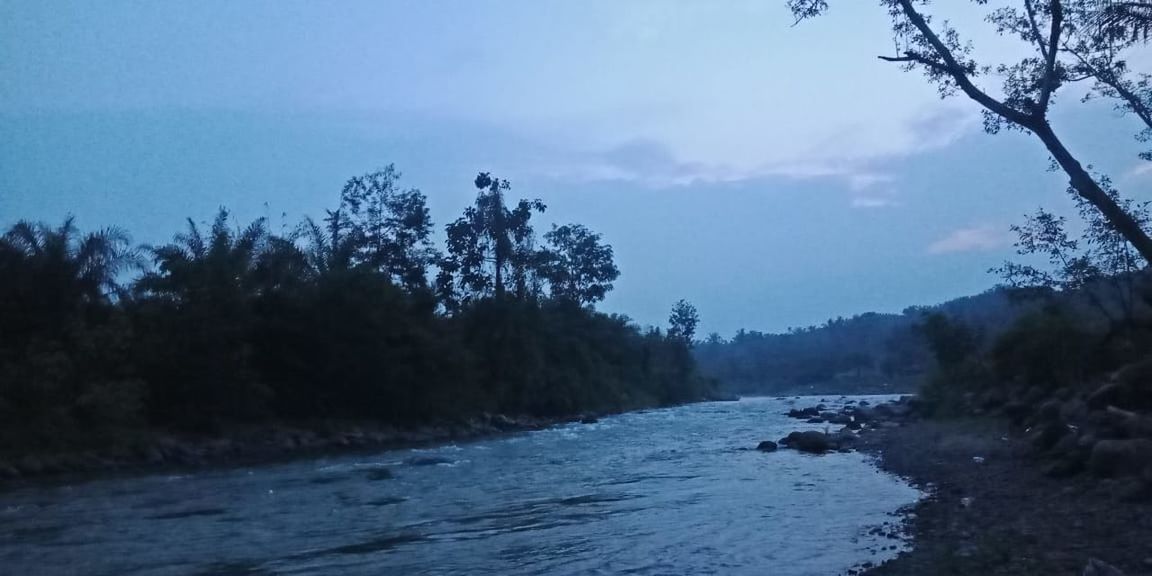 tree, plant, sky, river, water, scenics - nature, nature, beauty in nature, wilderness, forest, environment, land, mountain, tranquility, cloud, no people, tranquil scene, snow, morning, landscape, winter, non-urban scene, outdoors, body of water, pine tree, day, rapid