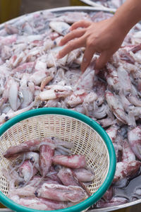 Midsection of fish for sale at market