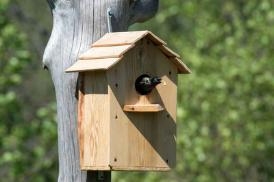 High angle view of bird perching on birdhouse