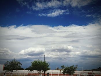 Trees against cloudy sky