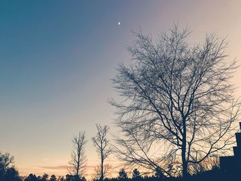 Low angle view of silhouette bare tree against sky at sunset