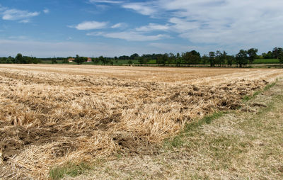 Scenic view of agricultural field against sky