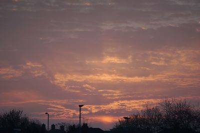 Low angle view of silhouette trees against orange sky