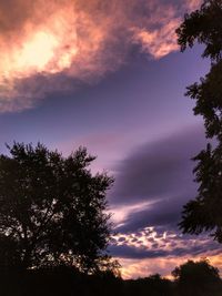 Low angle view of silhouette trees against sky at sunset