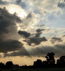 Low angle view of silhouette birds flying against sky