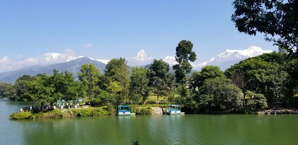 Scenic view of lake by trees against sky