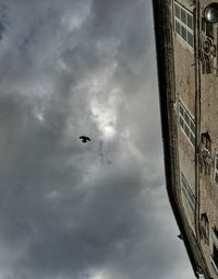 low angle view